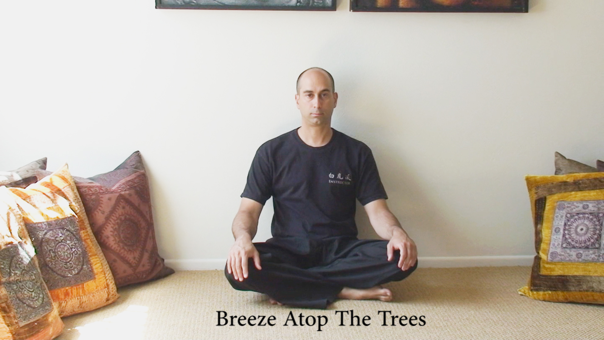 External Qigong – Breeze Atop The Trees (Sitting)
