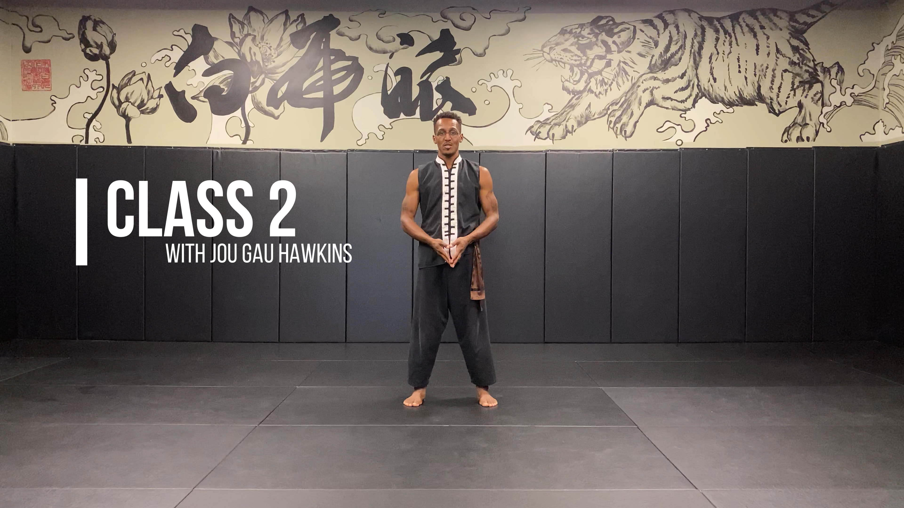 Class 2 – 30 Minute Kung Fu Workout