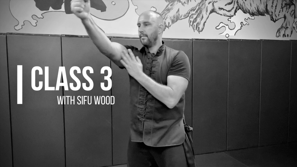 Class 3 – 20 Minute Kung Fu Workout