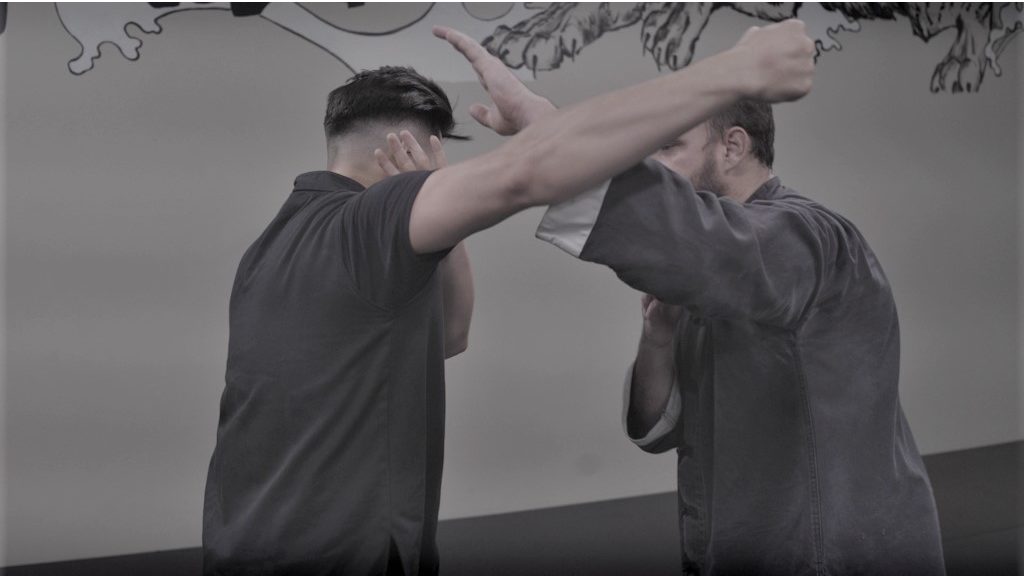 Self-Defense Technique #28 (Demo)