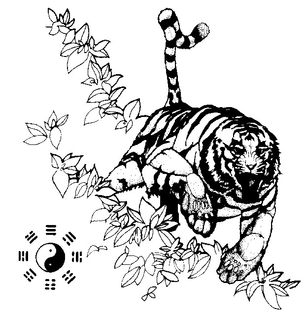 Intro to White Tiger Kung Fu